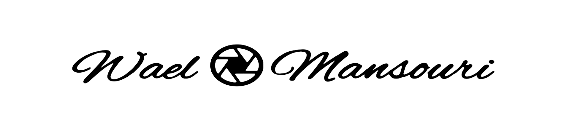 Logo Wael Mansouri